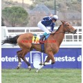 Carrera: P.Loto Turf | Caballo: Bética | Monta: J.Crocquevieille