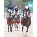 Carrera: P.Prosegur | Caballo: Aratz