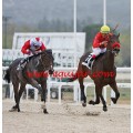 Carrera: P.Cría Nacional | Caballo: Castellana