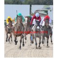 Carrera: P.Loto Turf | Caballo: Esquio | Monta: A.Gómez