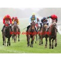 Carrera: P.Quintuple Plus | Caballo: Vega de Castilla | Monta: M.Gomes