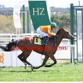 Carrera: P.Loto Turf | Caballo: Liniberto | Monta: M.Secci