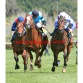 Carrera: P.LAE | Caballo: Mayerling (FR) | Monta: A.Gómez