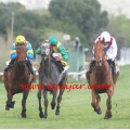 Carrera: P.Comunidad de Madrid | Caballo: Infinity One | Monta: O.Ortiz de U.