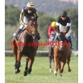 Carrera: P.Marca | Caballo: Almanzora 2002 | Monta: J.Crocquevieille