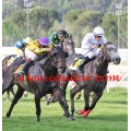 Carrera: P.San Isidro | Caballo: Totxo | Monta: F.Jiménez A.