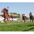 Carrera: P.San Isidro | Caballo: Ranyan | Monta: V.Janacek