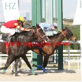 Carrera: P.Loto Turf | Caballo: Madrugar | Monta: J.Grosjean