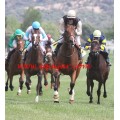 Carrera: P.Cruzcampo | Caballo: Albuhera | Monta: J.Horcajada
