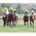 Carrera: P.Marca | Caballo: Risby (IRE) | Monta: J.Crocquevieille