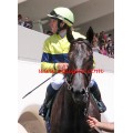 Carrera: P.Marca | Caballo: Risby (IRE) | Monta: J.Crocquevieille