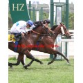 Carrera: Derby | Caballo: Fortun | Monta: J.Crocquevieille
