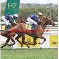 Carrera: P.Reltaj | Caballo: Mou the Special | Monta: R.Montenegro