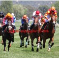 Carrera: P.Loto Turf-Marca-Colindres | Caballo: Rayo Rojo | Monta: M.Gomes