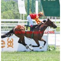 Carrera: P.Loto Turf-Marca-Colindres | Caballo: Rayo Rojo | Monta: M.Gomes