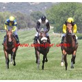 Carrera: P.Martorell | Caballo: Albuhera | Monta: C.Nora