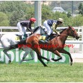 Carrera: P.HSM-Hebecourt | Caballo: Almazora | Monta: J.Crocquevieille