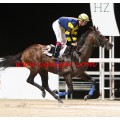 Carrera: P.HSM-C.Vimar | Caballo: Garajonay (FR) | Monta: J.Grosjean