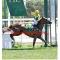 Carrera: P.Marca-Abe de Fuego | Caballo: Bouquetot Belle | Monta: S.Martín