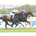 Carrera: P.Chequemotiva | Caballo: Foreign Raider | Monta: M.Borrego