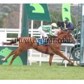 Carrera: P.Loto Turf | Caballo: Entre Copas