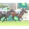 Carrera: P.Eurstars | Caballo: Magic Victory | Monta: H.Betansos