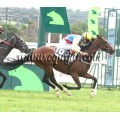 Carrera: P.Chequemotiva | Caballo: Lisselan Birdie