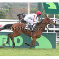 Carrera: P.MAPA | Caballo: Desdella | Monta: O.Ortiz de U.