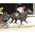Carrera: P.I.G.Markets | Caballo: Al Adrian | Monta: M.Borrego