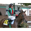 Carrera: G.P.Memorial D.de Toledo | Caballo: Jade