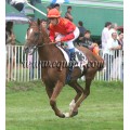 Carrera: Copa de Oro de S.S. | Caballo: Le Carnaval