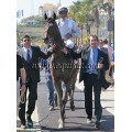 Carrera: Mijas Cup | Caballo: Papillon Rose | Monta: T.Victoire
