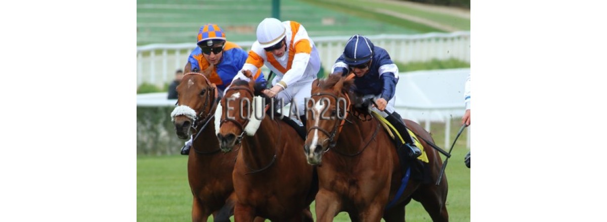 Presentación de las crónicas del GPM 2023